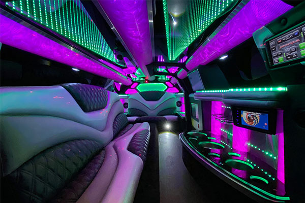 luxurious limousine lounge