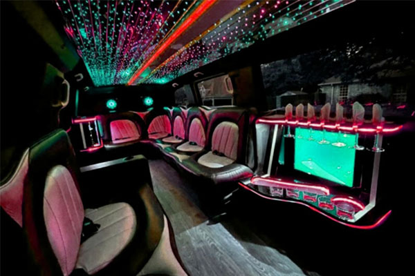 luxurious limo seating